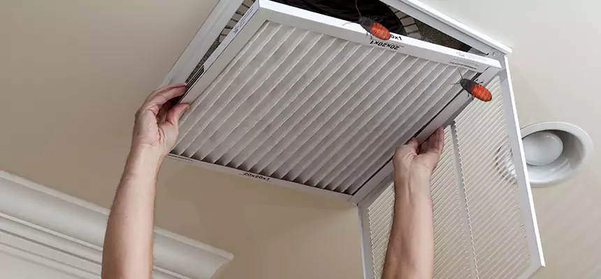 Our Insect Removal from Air Ducts Services in Riverview, FL