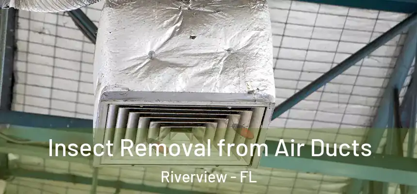 Insect Removal from Air Ducts Riverview - FL