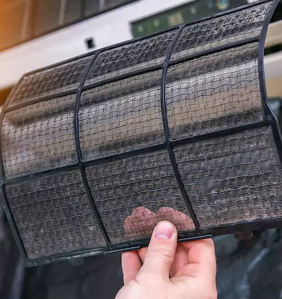 About Pet Dander Duct Cleaning in Riverview, FL